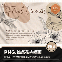 Hand-painted plant line draft poppies line drawing illustration png picture pattern PS flower logo flower leaf material