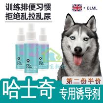 Husky special training to guide the dog positioning inducer defecate like toilet urination