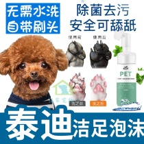 Teddy special rub foot pet care fluid pet dog pooch Foam foam washing foot liquid anti-dry crack scrub foot odor
