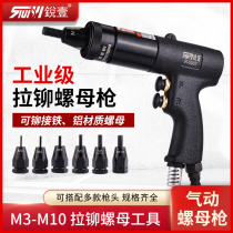 Ruiyi pneumatic rivet nut gun Riveter cap gun Female gun Automatic screw gun Nut gun