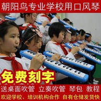 37 key mouth organ 32 key student accordion Bird children beginner teaching instrument delivery bag