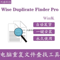 Wise Duplicate Finder Pro computer Duplicate file search software tool