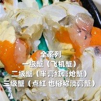 3 loaded with Zhoushan crab specialty female crab drunk crab swimming crab salted crab whole red crab