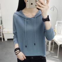 Hollow Sleeve Knit Womens Thin Model 2021 New Spring and Autumn Ice Silk base shirt Loose Hooded Suntop