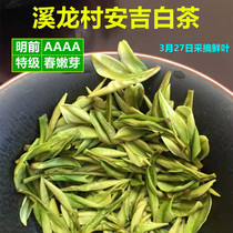 Authentic Anji White Tea 2021 New tea Premium Mingqian head picking Spring Tea Tea Rare Green Tea bulk 250g