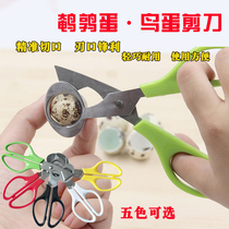 Stainless Steel Pigeon Quail Egg shells Scissors Bird Cutter
