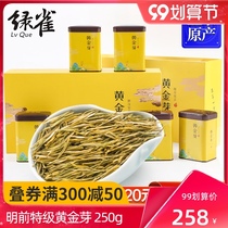 Golden Bud Tea 2021 New Tea Mingqen Premium Anji White Tea 250g Official Flagship Store Official Website Gift Box