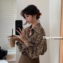 BAO WEN shirt female spring and autumn retro loose design sense niche fashion Korean version of Hong Kong flavor printed long sleeve chiffon shirt