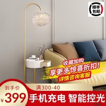 Net red feather floor lamp ins Wind living room bedroom sofa bedside lamp cabinet one creative intelligent light luxury floor lamp