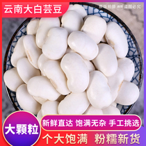 3 Jin white kidney beans Yunnan Dali Baiyun beans big white beans farmers self-produced beans grains cloud beans new products