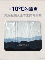 Japanese ice cushion summer mattress cooling mat for student classroom summer gel pet cooling pad