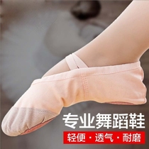 Dance shoes women's soft soles show instep training shoes adult cat claw shoes children girl body ballet dance shoes