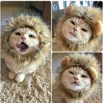Cat lion headgear kitten hat cute funny pet photo props puppy dress dress decorations