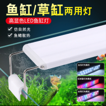 Fish tank energy-saving lamp LED special lighting Turtle landscaping waterproof lamp Aquatic plant lamp Small and medium-sized aquarium rack lamp