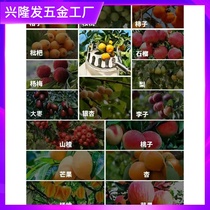 High-altitude fruit picking artifact retractable rod mango lychee apricot fruit longan peach high tree picker scissors head