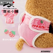 Dog menstrual pants baby pants small Teddy big aunt female sanitary napkins pet menstrual aunt pants