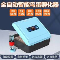Parrot incubator small water bed incubator household automatic incubator smart chicken duck quail egg incubator