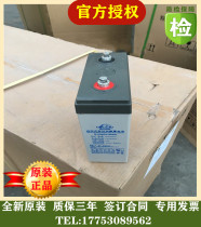 Les lead-acid battery DJ1002V100AH200ah300ah400ah500ah600 machine room DC screen