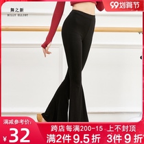 Modern dance practice pants wide-legged art Test shape suit performance costume Modal costume female elegant dance pants classical dance