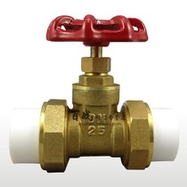 Stainless Steel Gate Valve Ppr Tube Special Copper Gate Valves Double Live water pipe Raft Gate Thyme Switch Hundred Battles