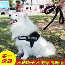 Dog traction rope gold wool dog rope Labrador mid-sized large canine chest braces out of Samoye Walking Dog Chain