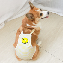 Pet dog physiological pants strap safety pants menstrual period mother anti-harassment aunt pants one-piece female dog Corgi special