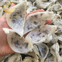(Susu Yan Fang) in the Birds Nest 50g pregnant women nutrition nourishment medium light hairy foot dry Price