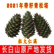 Northeast wild pine cones Changbai Mountain fresh pine tower with pine nuts squirrel grain decoration water kernel super large red pine Tower new goods