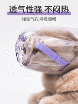 Cat mouth cover anti-bite and anti-cat bite mask