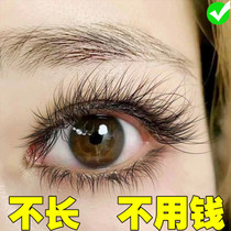 (Li Jiaqi recommended 158 hair three) to say goodbye to fake eyelash eyelash thick and dense volume natural growth