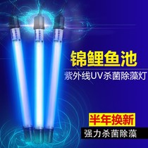 Fish pond fish tank sterilization disinfection lamp koi UV ultraviolet algae removal purification diving built-in equipment outdoor large
