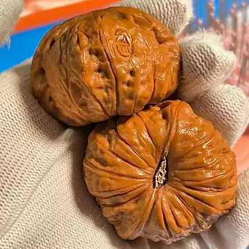 ❤️新入荷❤️No.648❤️文玩くるみ（文玩核桃） 精配南瓜墩 平谷南瓜墩文玩核桃-平谷南瓜墩文玩核桃促销价格、平谷南瓜墩文玩核桃