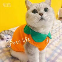 Net red cat cute autumn cat Garfield summer English short blue cat anti-drop Siamese cat silver gradual clothes