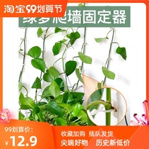 Green Rose green plant climbing wall fixed artifact no trace household buckle climbing indoor vine plant wall adhesive hook fixing clip