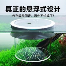 Suspended isolation box acrylic fish tank isolation box feeding box ovipositor fish egg isolation net three lakes shaped