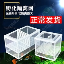 Fish tank aquarium isolator isolation box mesh incubator guppy fish mini parrot breeding box