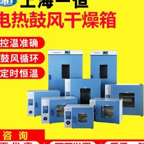 Shanghai DHG-9030A 9140 blast drying oven laboratory drying box electric heating constant temperature oven industry