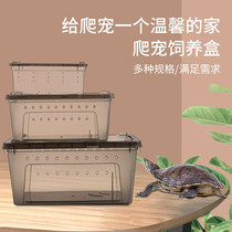 Climbing pet guard horned frog lizard feeding box snail insect silkworm baby breathable feeding box turtle hibernation box