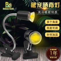 Tortoise Sunback lamp holder uvb lamp climbing pet lizard calcium heating lamp full spectrum heating lamp turtle tortoise lamp