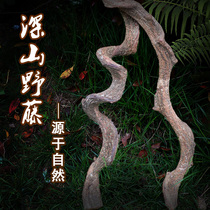 Pet Vio Climbing Box Rattan Landscape Natural Growth Vines Tree Habitat Hermit Crab Climbing