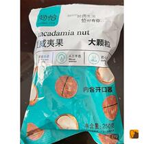 Shangcha Hawaiian Fruit Shangqia Large Granules Hawaiian Fruit Daily Nut Dried Fruit Roasted Snack Food