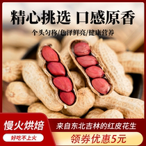 Full reduction of new goods 5kg four red red peanut original shell fried peanut nuts fried snacks wholesale