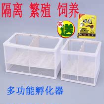 Fish tank isolation net Aquarium isolator isolation box net Fish tank incubator breeding box Incubation fish tank incubation fish net