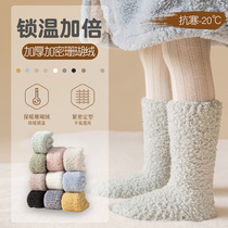 Childrens socks winter floor socks thickened plug-in coral velvet female baby in autumn winter stockings