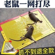 Mouse paste super strong sticky mouse plate catcher catch large mouse clip cage rodent control home rat trap artifact automatic