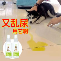 Anti-dog urine spray dogs mess up urine to prevent dog urinating for cat repellent exortzer 1 bottled