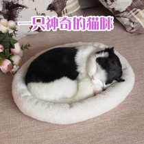 Fake cat simulation kitten ornaments birthday gifts girls junior high school students 14-year-old very cute girl toys