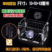 Acrylic fish tank small isolation box transparent mini parrot Peacock golden wave incubator box Fry breeding box
