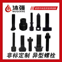 Customized non-standard screws Special-shaped bolts Forged high-strength extra-large bolts Customized non-standard bolts