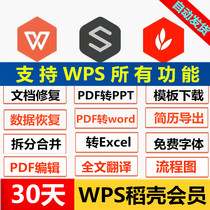 wps rice husk will yuan a day rice husk Super meeting ppt template Jinshan pdf to word translation permanent member vip